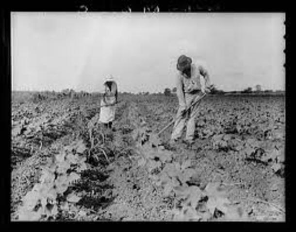 Agricultural Adjustment Administration