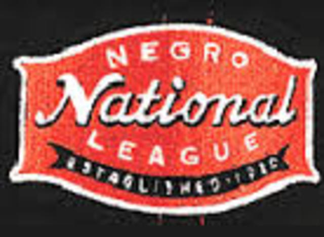 Baseball's Negro National League was formed.