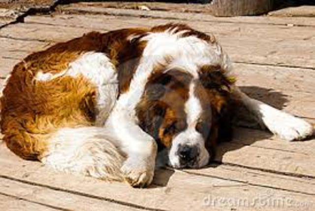 Benno und ich sind mit einem Taxi zur Praxis Gefahren