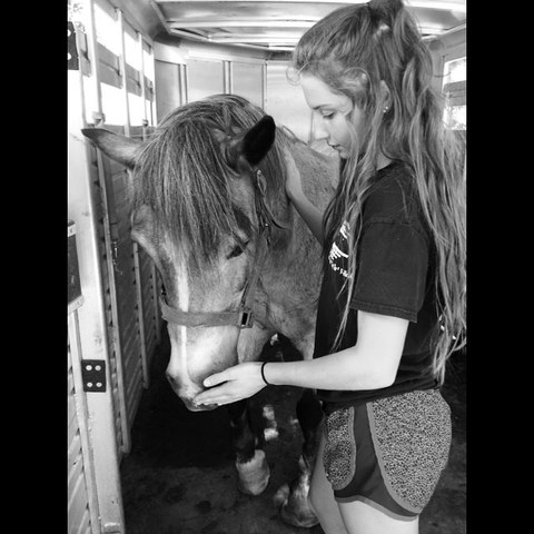 yo compré mi caballo