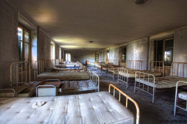 Dino buchte ein bett Im Schlafsaal.