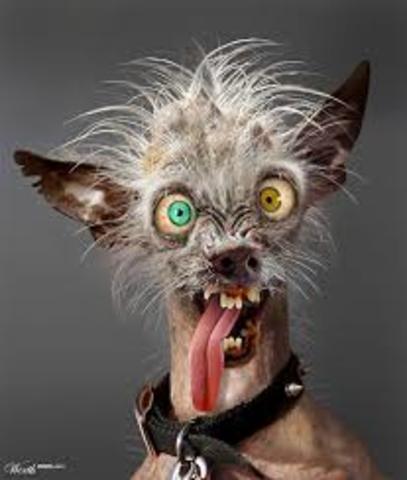 Die ganze Stadt spielt verruckt.