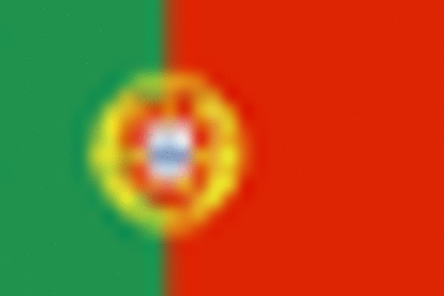 PORTUGUESES COLONIZAM EFETIVAMENTE O BRASIL