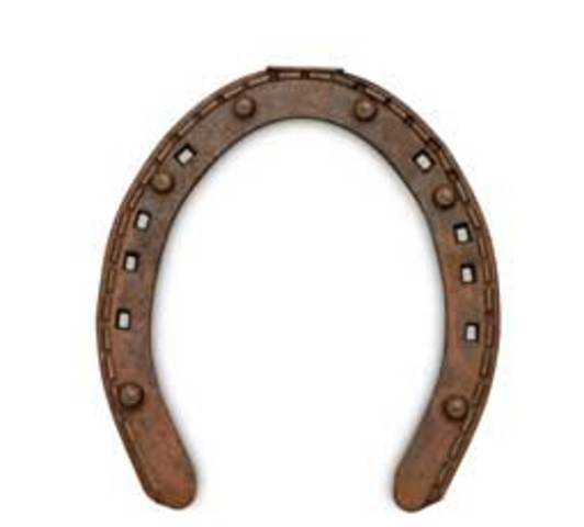 Iron Horseshoe