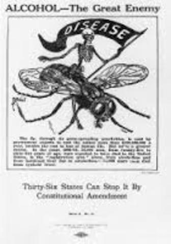 "The Outlook" Survey