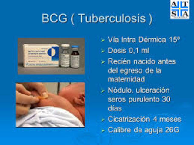 LA LIGA DE LAS NACIONES