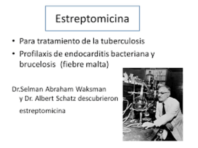 SELMAN WAKSMAN
