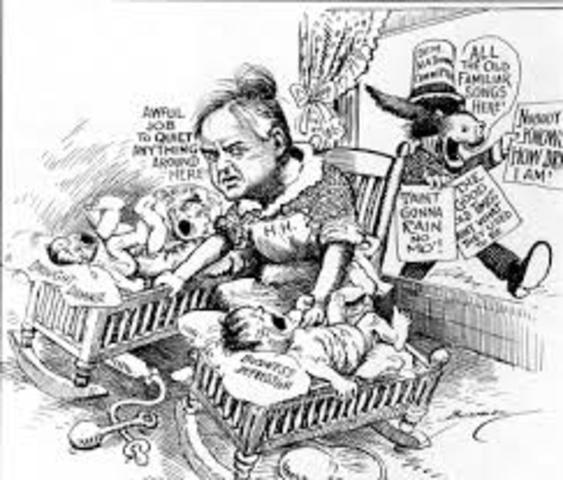 Herbert Hoover's Policies (2)