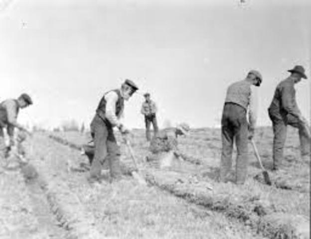 Reforestation Relief Act