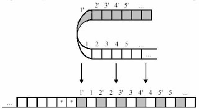 1937 год. Машина Тьюринга