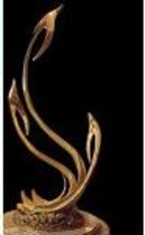 Important Life Event