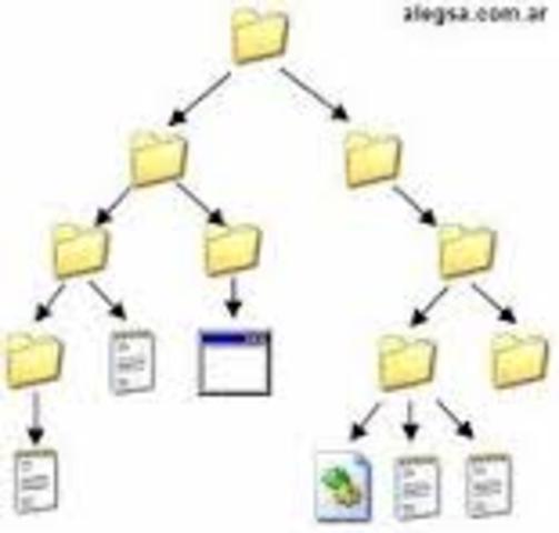 Poca importancia necesidades de info. de directores generales.