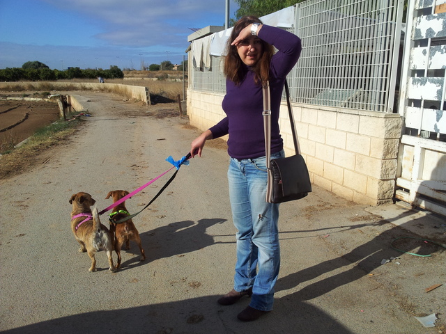 Anem a conèixer a NINA. A vore si fa lliga amb Abril.