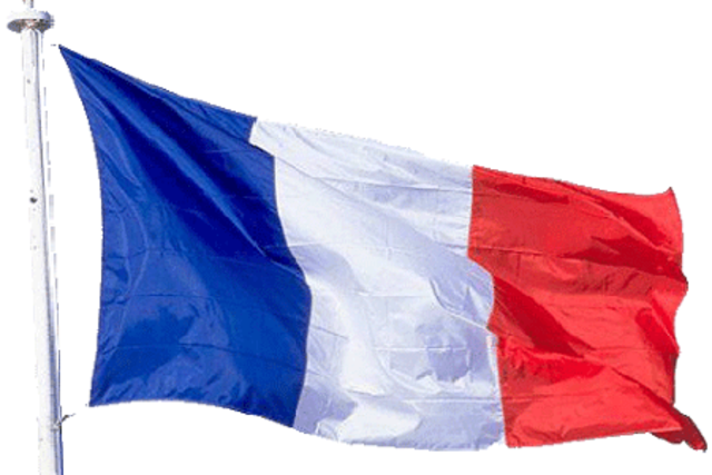 CARACTER EVOLUCIONISTA