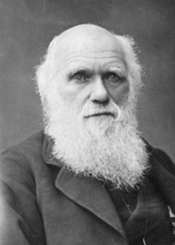 Charles Darwin and son Francis publish the book "The Power of Movement in Plants"