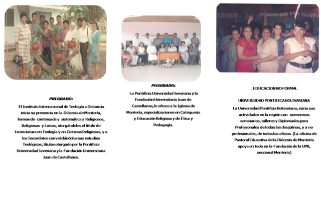 Formación en pregrados y posgrados