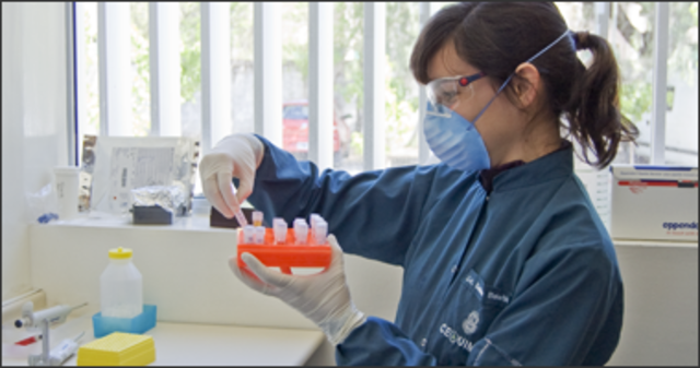 Salmon y Smith (1886) perfeccionaron los métodos serológicos de Pasteur, lo que les permitió producir y conservar más fácilmente sueros tipificados contra la peste porcina.