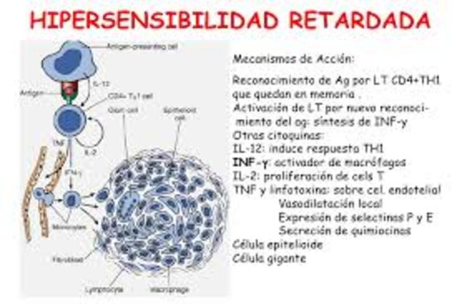 Dr. Sherrill Slichte y landsteiner     hipersensibilidad tardia