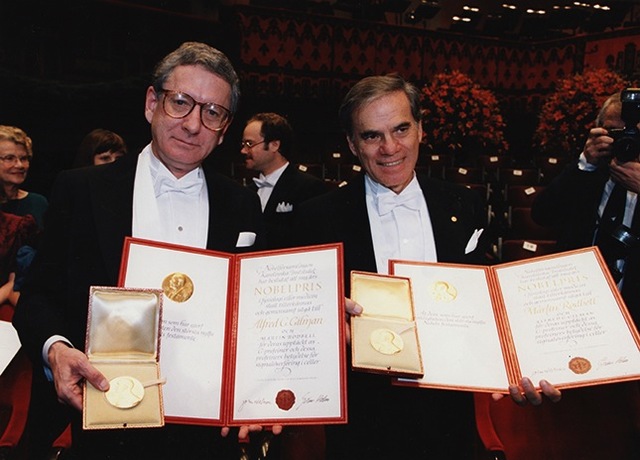 Alfred Gilman and Martin Rodbell discover G protein receptors