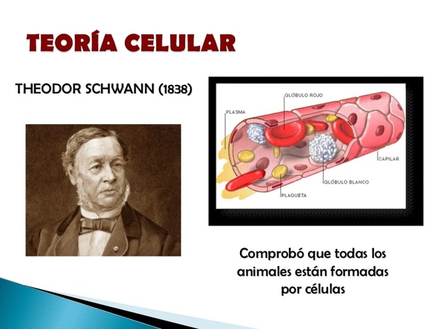 Theodor schwann teoria celular_teoria_online