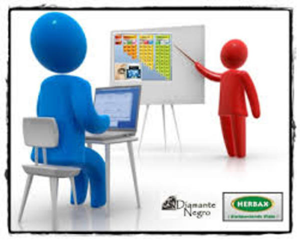 Introduccion de la informatica en organizaciones