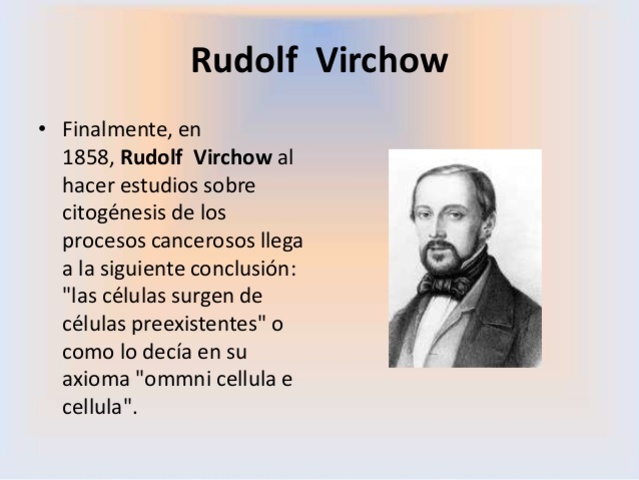 Rudolf Virchow