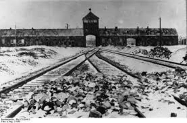 The Holocaust