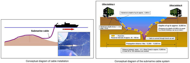 cable trasattlanticio fibra