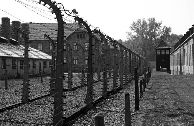 Holocaust