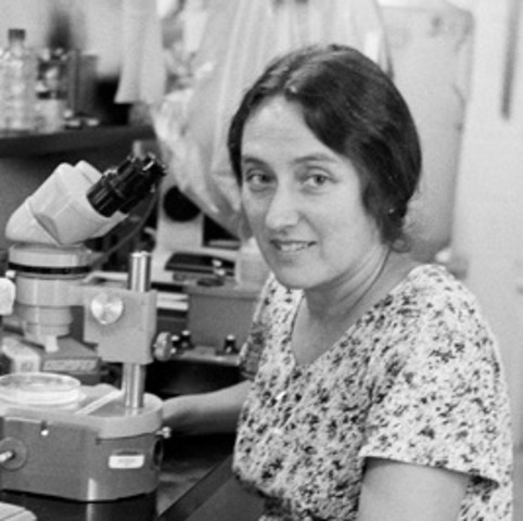 Lynn Margulis, publica su hipótesis sobre laendosimbiosis serial, que explica el origen de la célula eucariota.