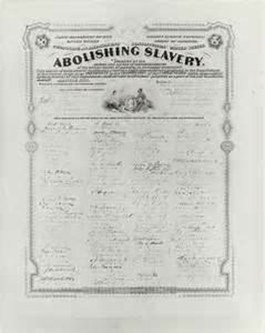 Thirteenth amendment