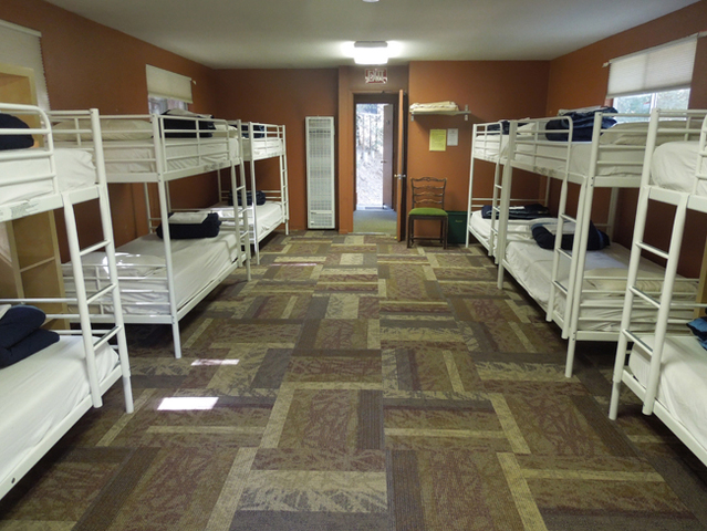 Dino Goes to a Hostel