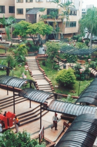 Reconocimiento de algunas facultades