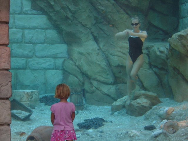 Vacation to Sea World