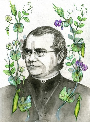 Gregor Mendel published the reults of the inheriance of pea plants