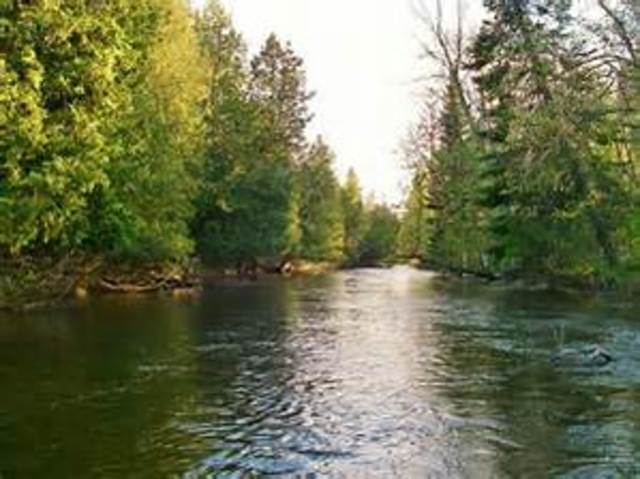 Last documented in Michigan