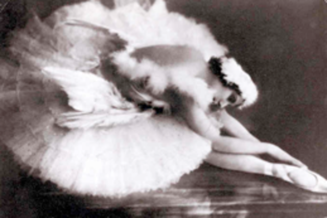 The Dying Swan