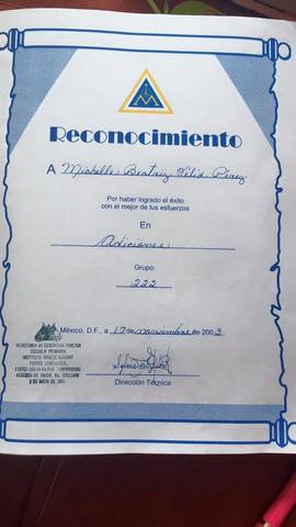 Reconociciemto en adiciones