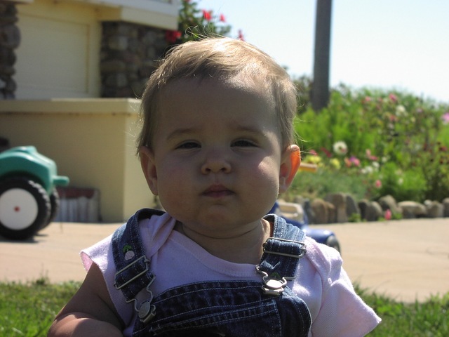 I was born in St. Louis, Missouri