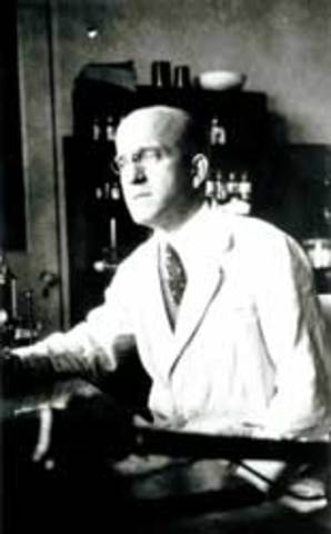 Avery: DNA Transformations in DNA