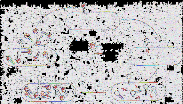 Hershey and Chase: Radioactive Bacteria