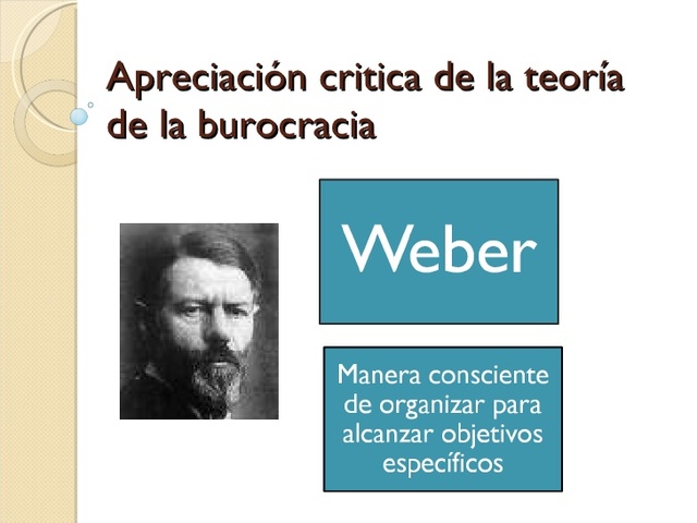 TEORÍA DE LA BUROCRACIA