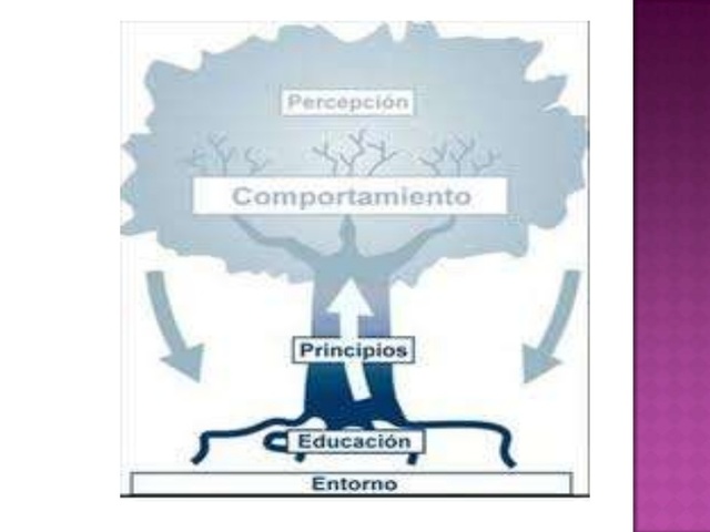 TEORÍA DEL COMPORTAMIENTO