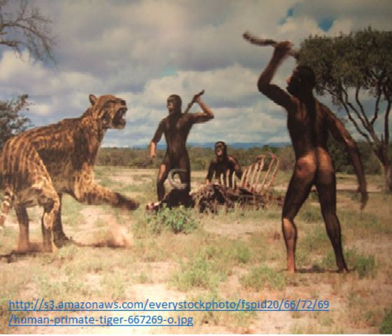 9000 A.C - EPOCA PRIMITIVA