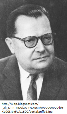 ENFOQUE SISTEMATICO (comprendido entre 1.950 y 1968)