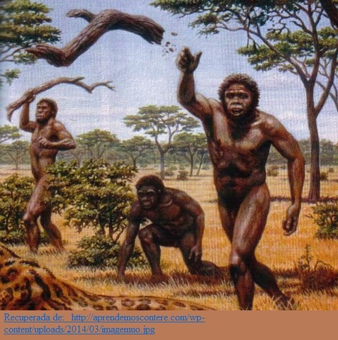 La Administración desde la Época de los Primitivos.