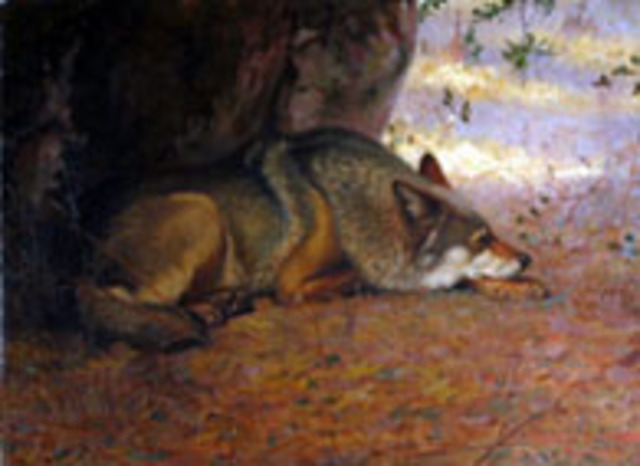 Seton's "Woodcraft" group founded