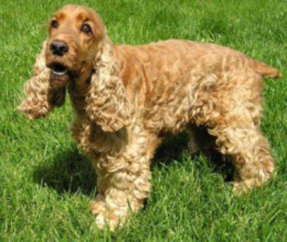 Itt történt valami fontos