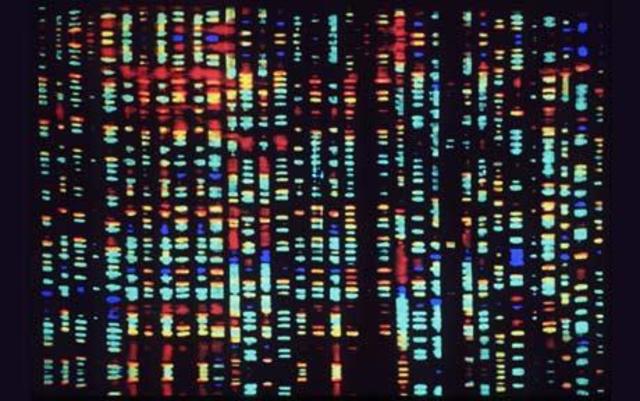 Human Genome Project