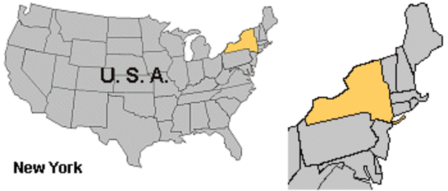 Returns to the United States